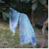 Blue Phulkari Embroidered Dupatta